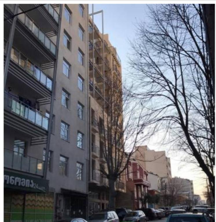 Sophio House In Gagarini Apartment Тбилиси Екстериор снимка